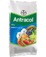 Antracol-featured-image