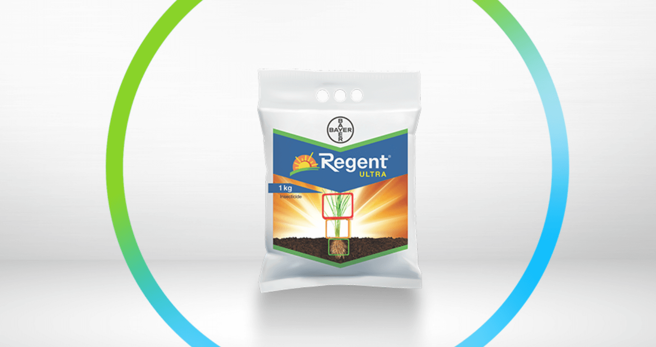 regent-ultra-slide-2