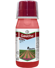 Gaucho-featured-image