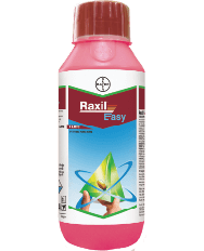 Raxil-Easy-featured-image