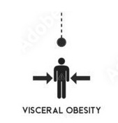 visceralobesity